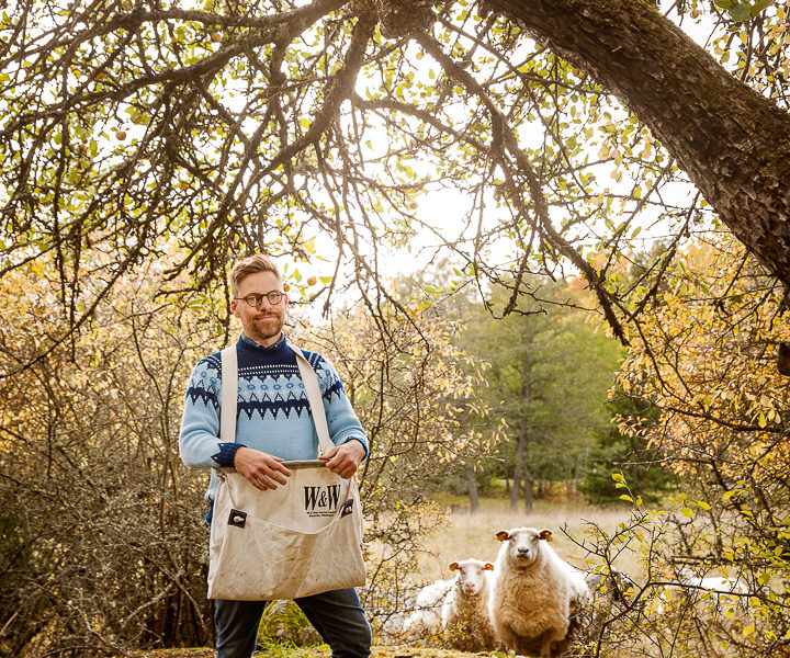 Skördebrunch, ciderprovning och sortbestämning av äpplen