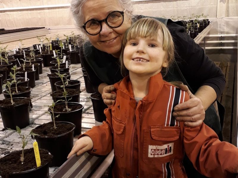 Teamwork med tomatfokus