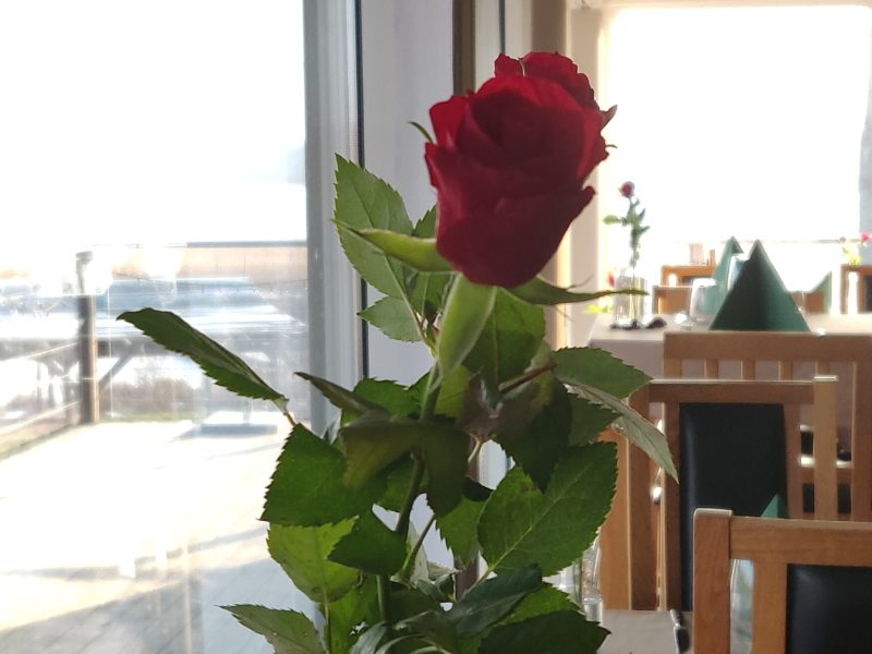 En ”vanlig” februarilördag på Hornudden