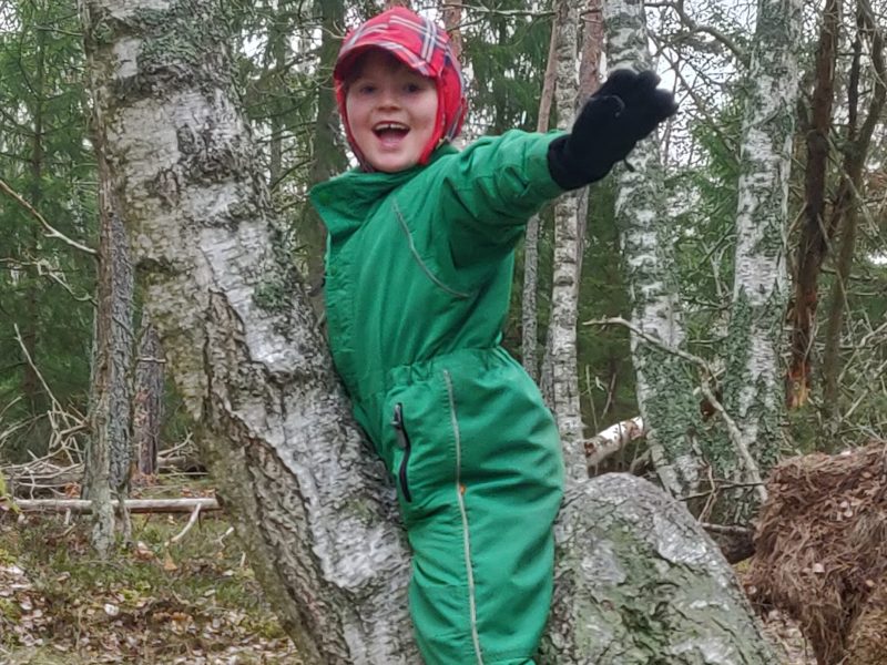 Vårt skogsbad & lite annat