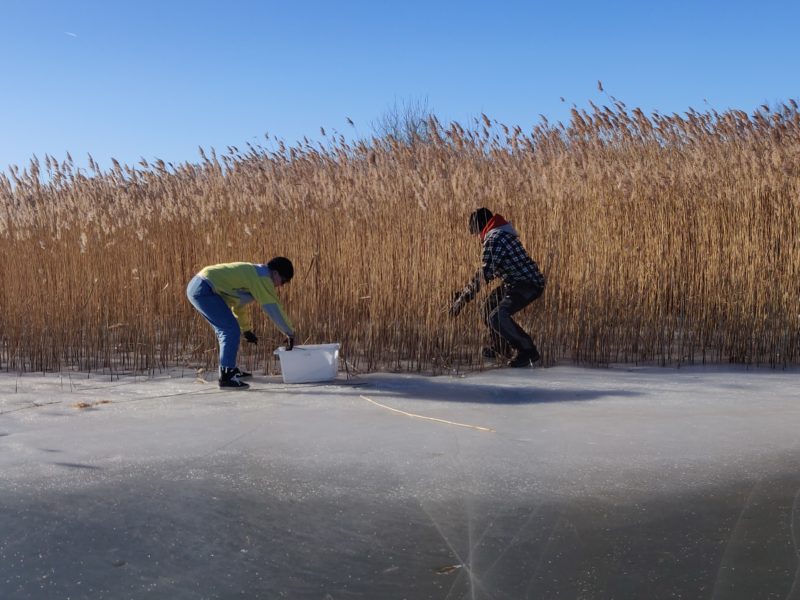 Klimatsmarta lösningar