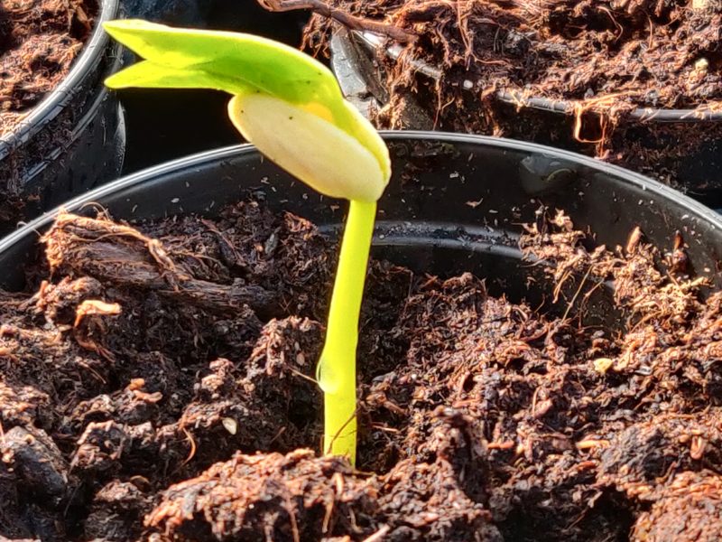 Nulägesreflektioner