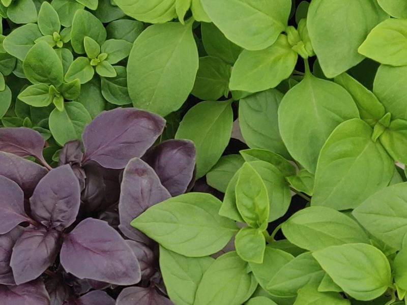 Från konsument till medproducent