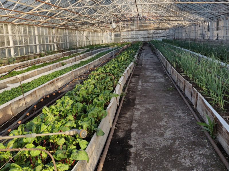 Det som var otänkbart