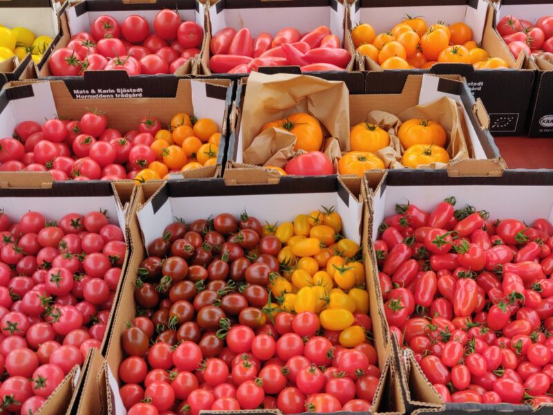 Aptitrundan i Sörmland 2020