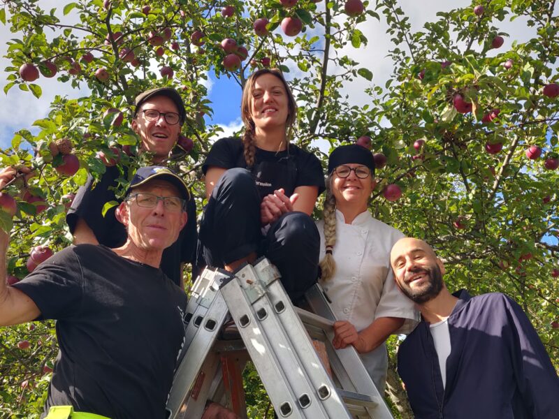 Ekologiska äpplets dag; 26 & 27 september på Hornudden