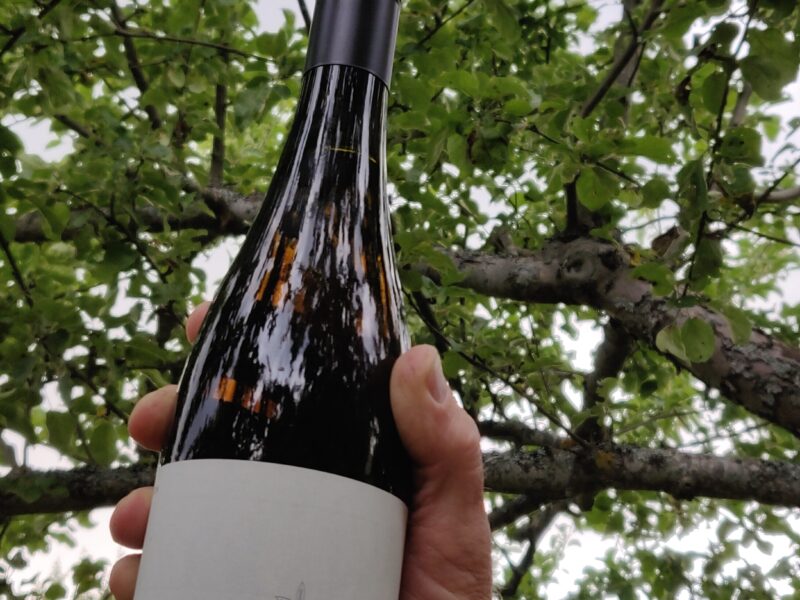 Kvällsöppet fredagar och lördagar i juli