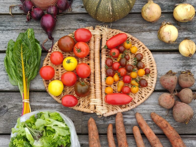 Välkommen med i vårt CSA-gäng!