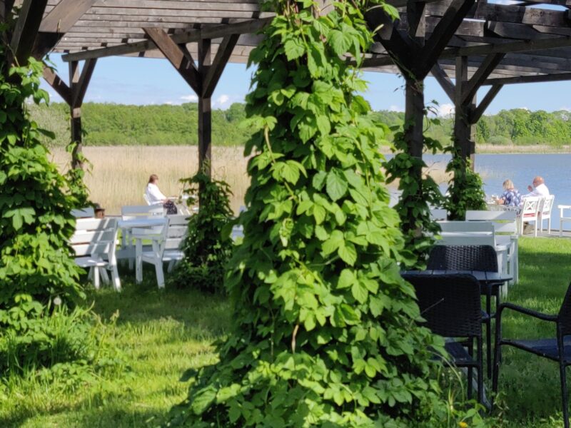 Vi satsar på lunchserveringen och caféet är nedlagt