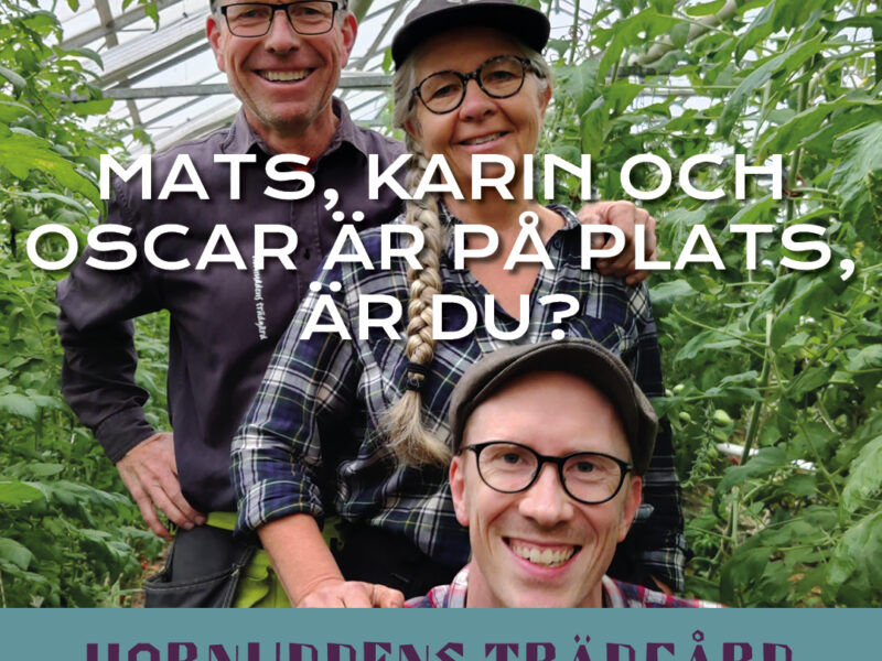 Ciderfestival den 2:a juli – Varmt välkommen!