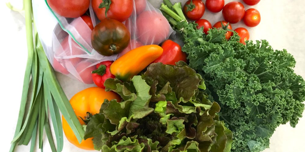 Andelsträdgård – nyskördat & ekologiskt