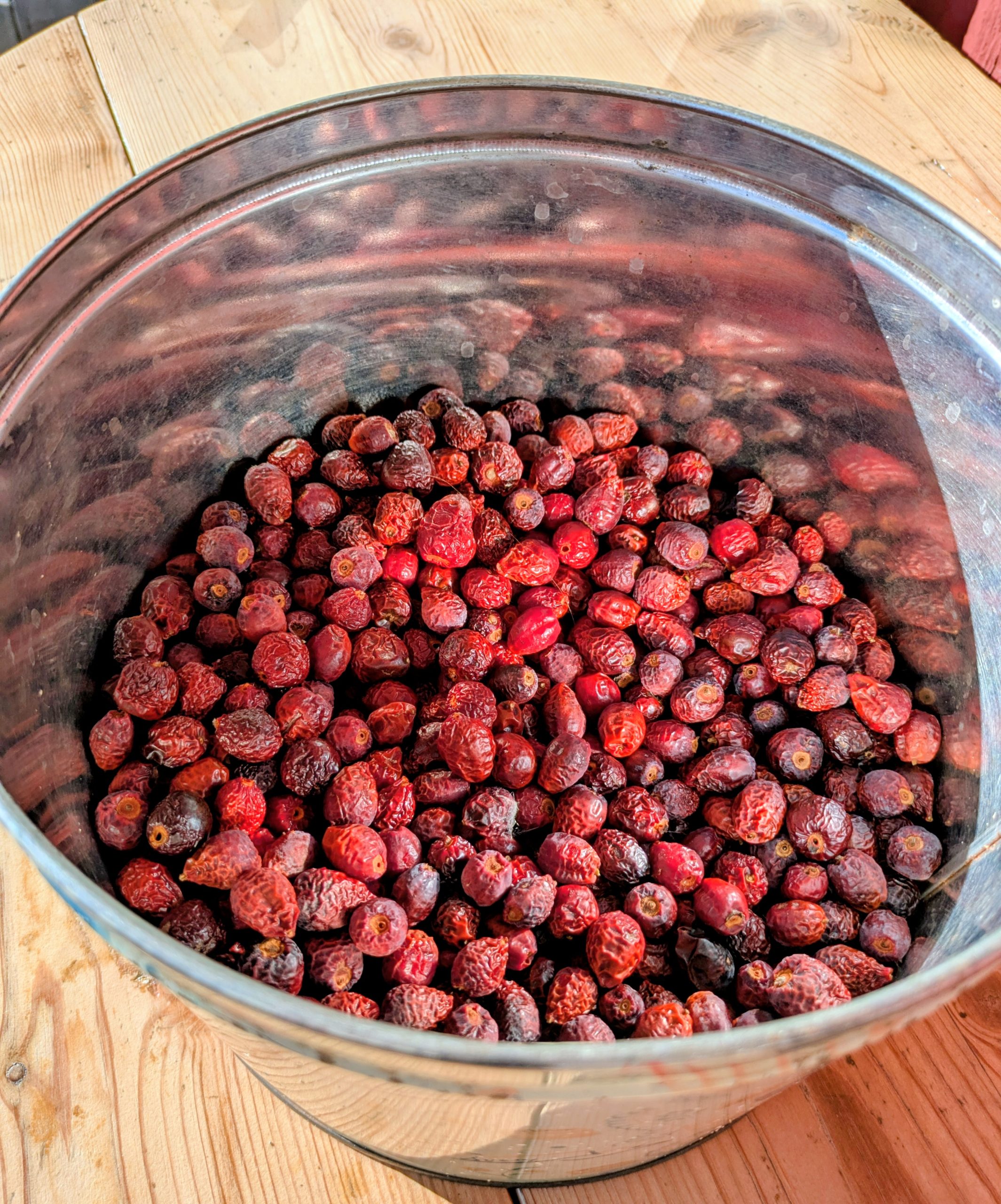 Nypon, en gammal favorit Nypon, en gammal favorit