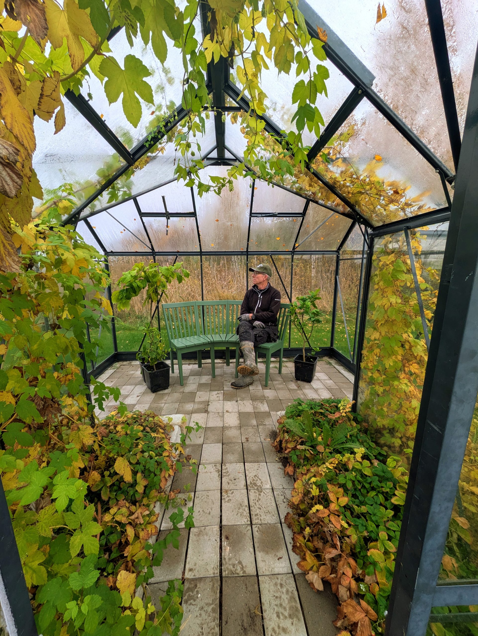 Circular Monday, 24:e november 2025